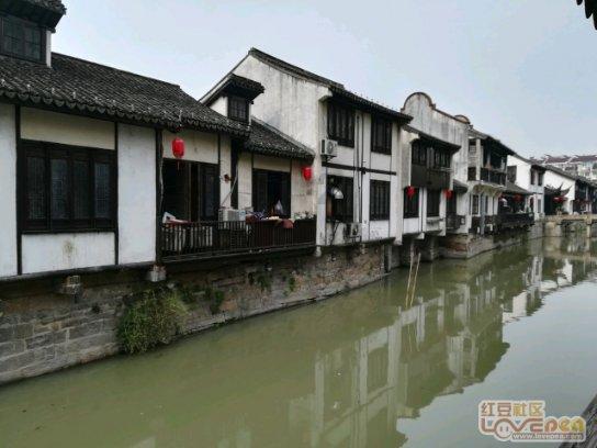 冷知识分享平台-什么香蕉好吃,让你获得奇闻异事